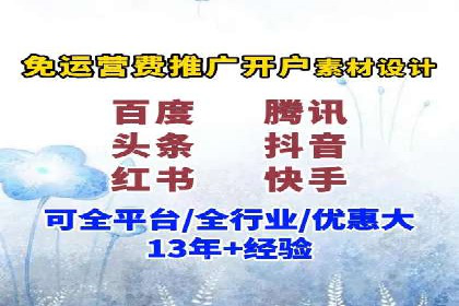 SEM推广在本地化服务中的应用案例